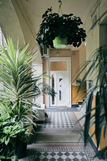 Unwind In Style W Sauna Dsgn 2Br Home Budapest Eksteriør bilde